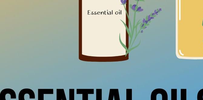 safe birch oil for pets safe birch oil for pets
