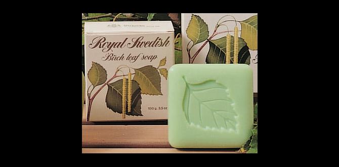 safe birch oil soap base safe birch oil soap base