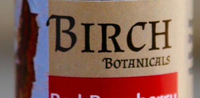 safe birch usage in tinctures safe birch usage in tinctures
