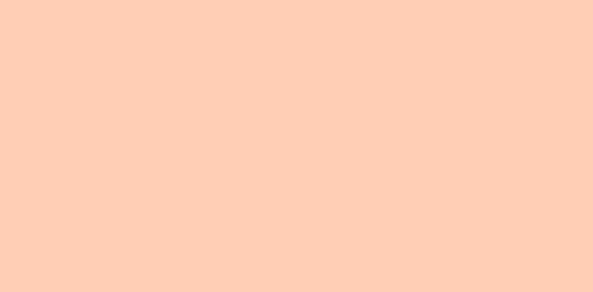 User testimonials and recommendations brad nailer for furniture building amazon User testimonials and recommendations brad nailer for furniture building amazon