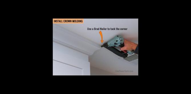 Where to buy cheap brad nailers brad nailer for crown molding cheap Where to buy cheap brad nailers brad nailer for crown molding cheap