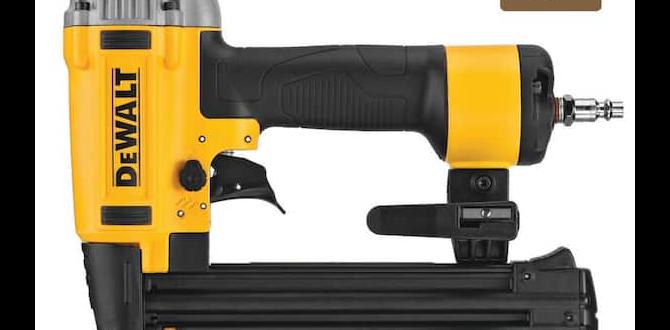 Where to buy quiet brad nailers online quiet brad nailer for indoor use buy online Where to buy quiet brad nailers online quiet brad nailer for indoor use buy online