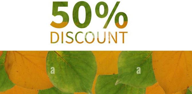 best nailer for framing 2025 best nailer for framing 2025