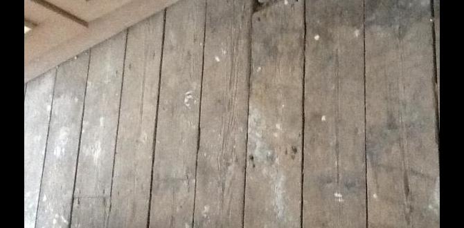 engineered wood flooring subfloor prep engineered wood flooring subfloor prep