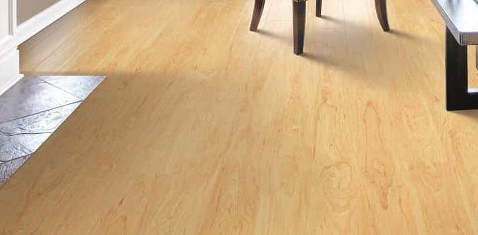 laminate wood flooring for bathrooms laminate wood flooring for bathrooms