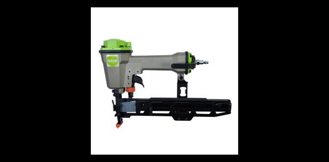 narrow crown stapler vs wide crown 2025 narrow crown stapler vs wide crown 2025
