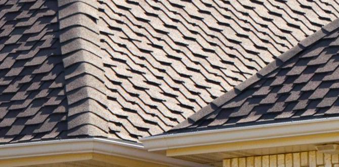 roofing nailer with coil feed lowes